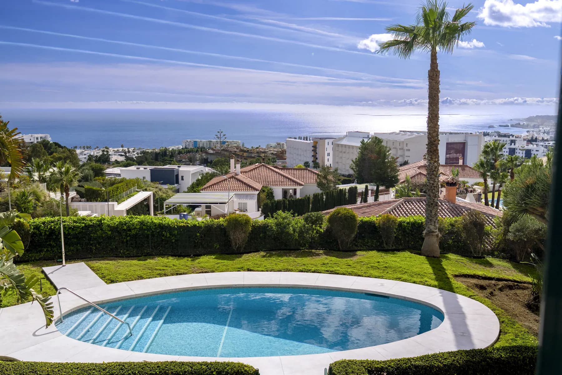 Communal pool among palm trees